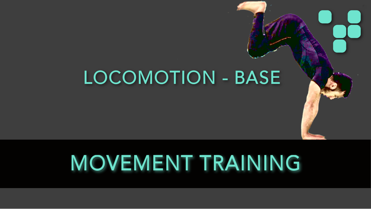 esercizi movement training crawling